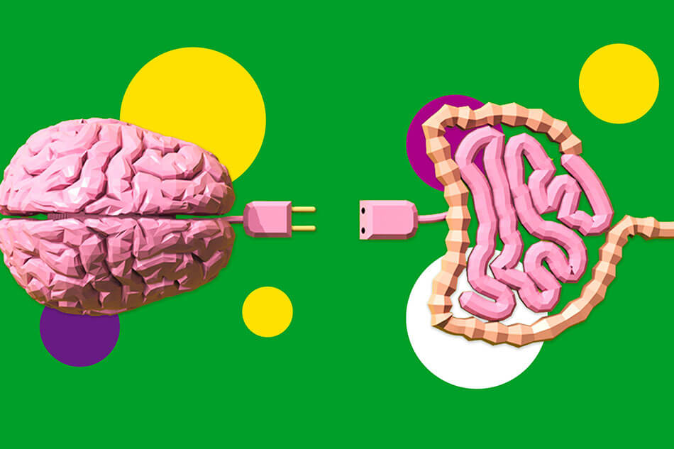 Eixo cérebro-intestino: a rota do bem-estar físico e mental