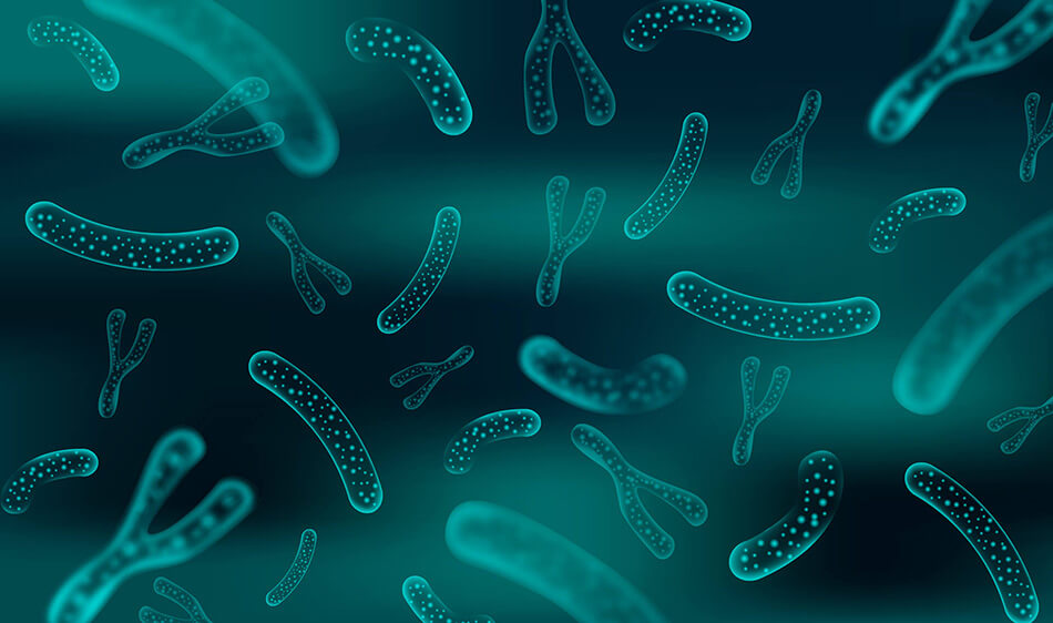 O que é microbiota intestinal e qual sua função para o corpo humano