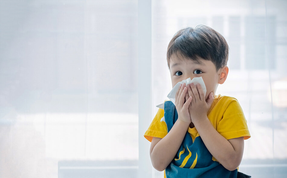 O que causa as alergias de outono e o que fazer para prevenir?