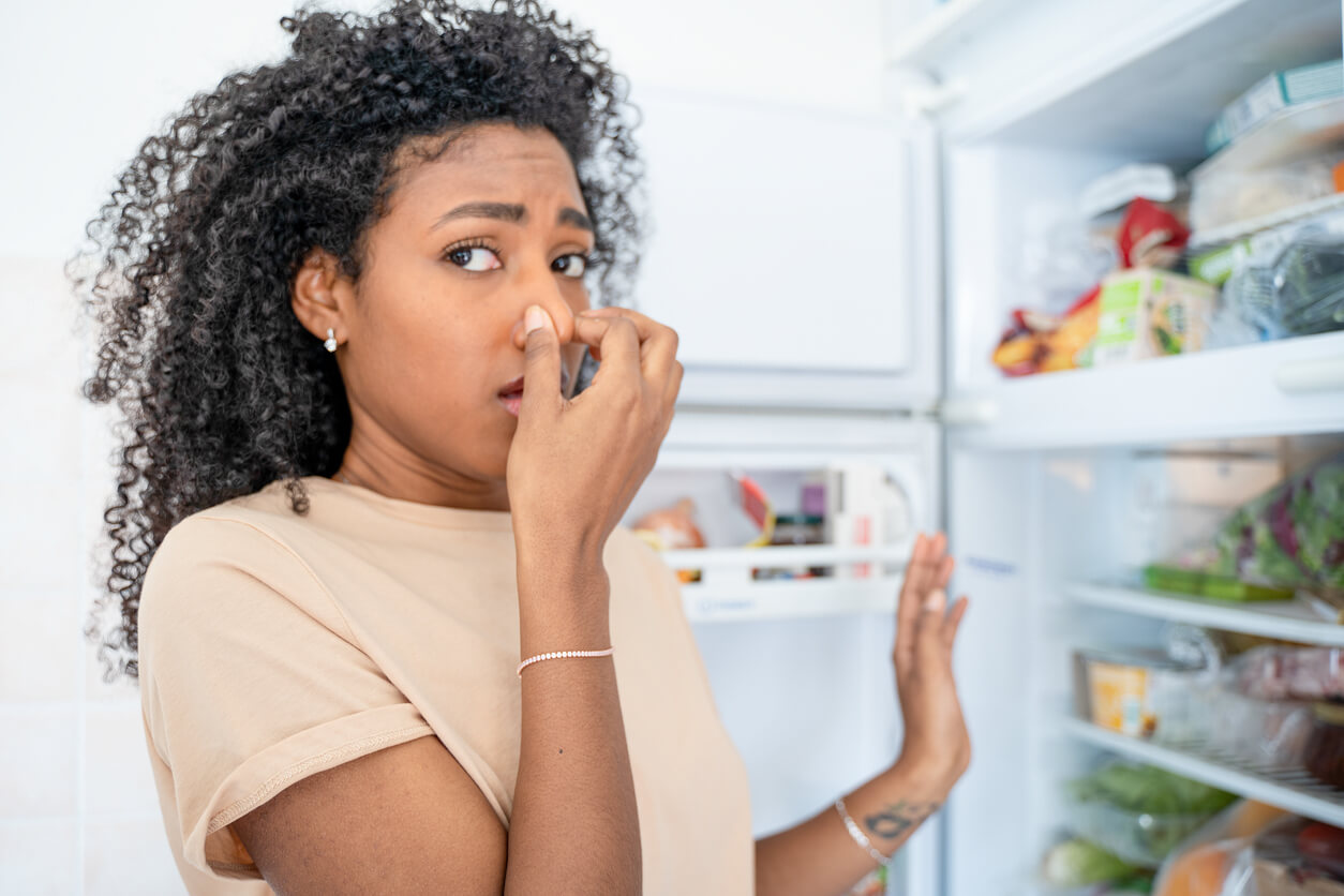 Alimento estragado: conheça os sinais antes de consumir Alimento estragado: conheça os sinais antes de consumir