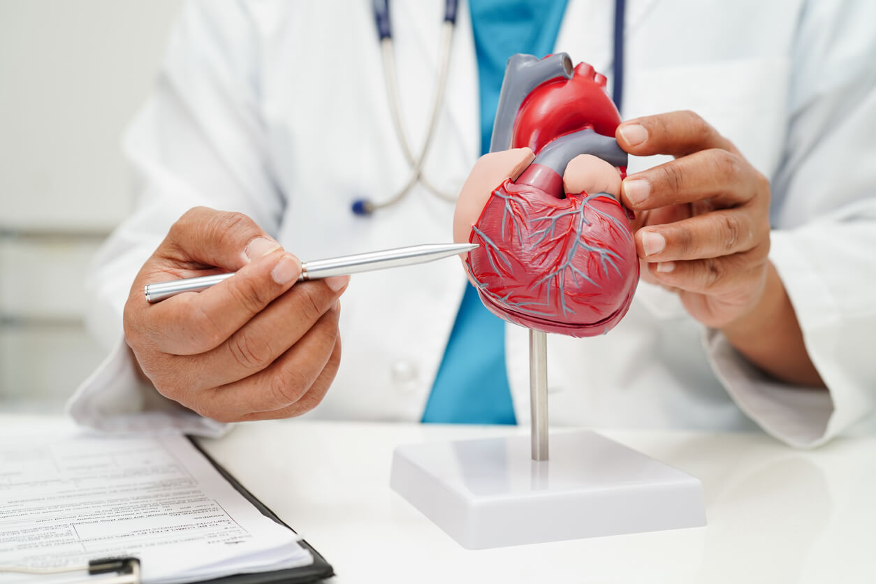 Colesterol HDL e LDL: o que são e principais diferenças Colesterol HDL e LDL: o que são e principais diferenças