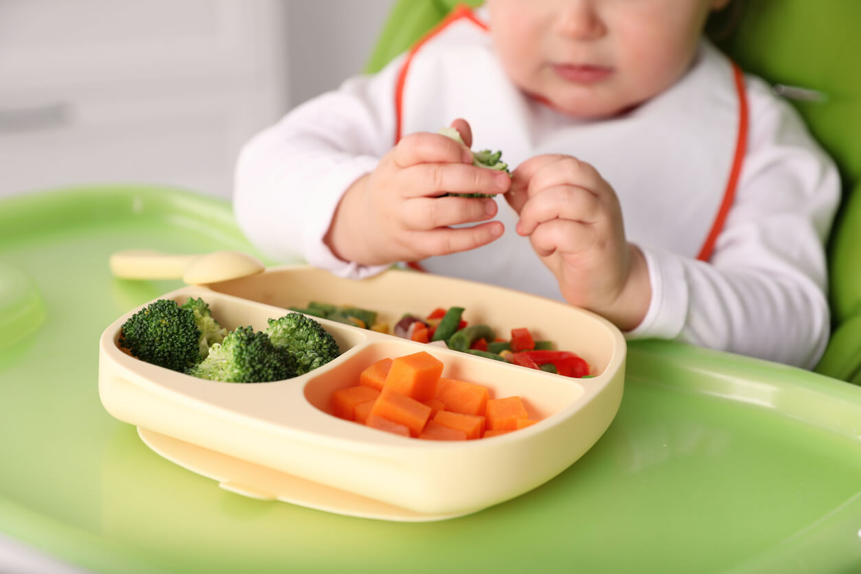 Como a alimentação infantil influencia a vida adulta Como a alimentação infantil influencia a vida adulta
